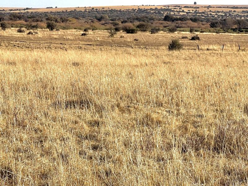 0 Bedroom Property for Sale in Heilbron Free State